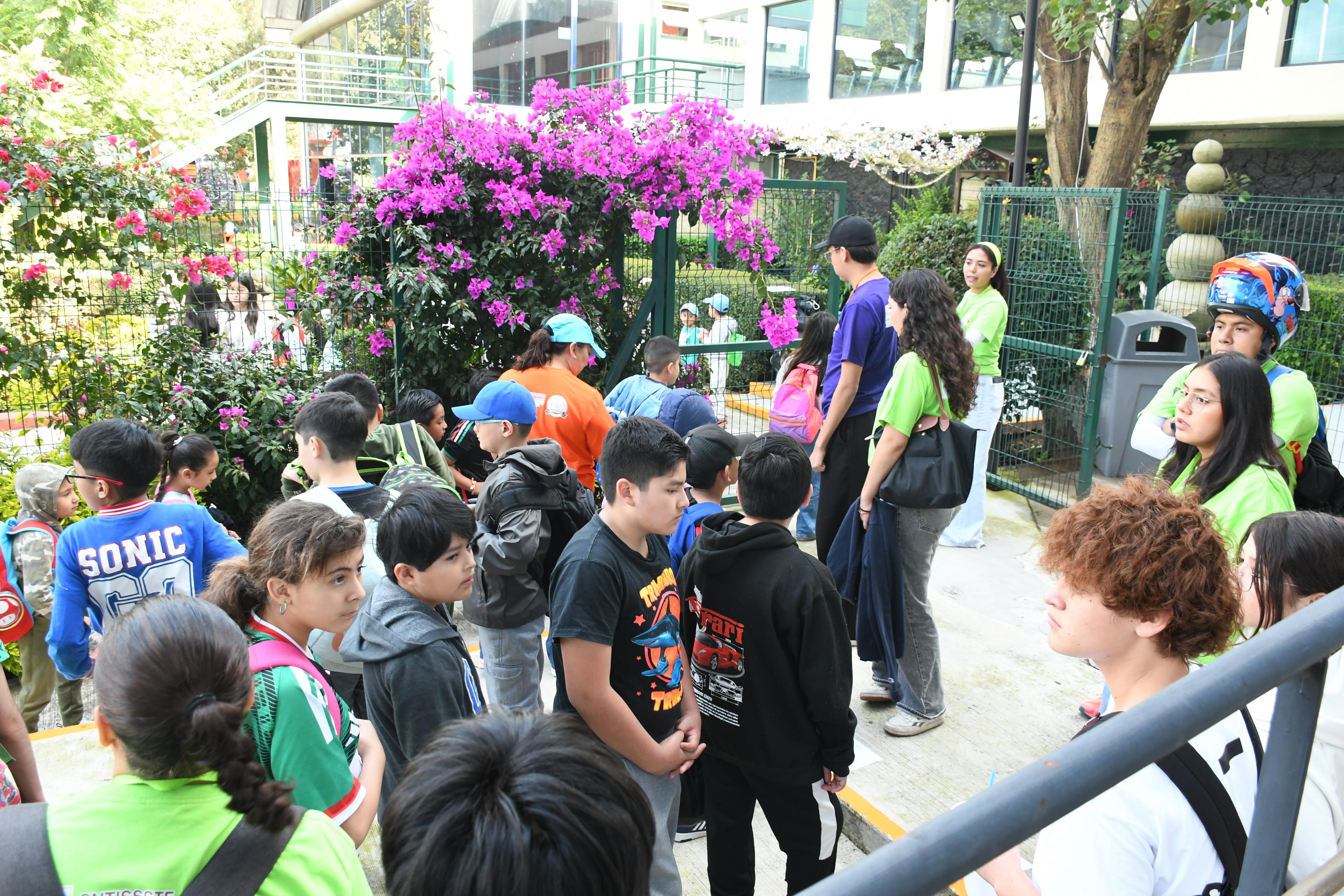  Arribo de niños del Curso de Verano 2026”Pequeños campeones del mundo”, CSCD del SNTISSSTE